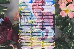 Dinosaur Sparchallenge