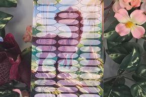 Dinosaur Sparchallenge